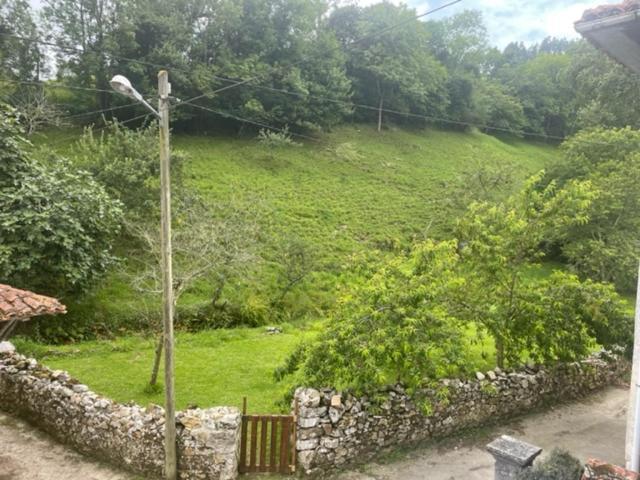 El Requexu De Rales Villa Rales  Eksteriør bilde